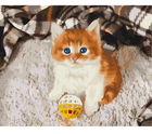 Картина за номерами Symag Забавне кошеня 40 x 50 см (5904433381192) - зображення 1