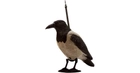 Підсадна ворона Birdland - зображення 1
