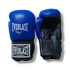 Боксерские перчатки Lev Sport EVERLAST