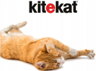 Mokra karma dla kotów Kitekat z wołowiną w sosie 85 g (3065890144910) - obraz 3