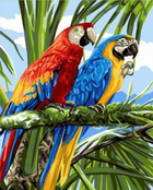Zestaw do haftu diamentowego Norimpex Parrots 40 x 30 cm (5902444067852) - obraz 1