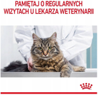 Сухий корм для дорослих котів Royal Canin Light Weight Care підтримання ваги 400 г (3182550706810) - зображення 9