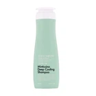 Шампунь для жирной кожи головы Daeng Gi Meo Ri&nbsp;Look At Hair Loss Minticcino Deep Cooling Shampoo 500 мл (8807779090063)