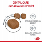 Sucha karma dla kotów Royal Canin Dental Care Pielęgnacja jamy ustnej 8 kg (3182550721622) - obraz 3
