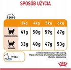 Sucha karma dla kotów Royal Canin Hair and Skin Care Zdrowa skóra i sierść 400 g (3182550721721) - obraz 9