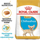 Сухий корм Royal Canin Chihuahua Puppy для цуценят породи чихуахуа 500 г (3182550722537) - зображення 3