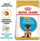 Sucha karma Royal Canin German Shepherd Puppy dla szczeniąt rasy owczarek niemiecki 3 kg (3182550724142) - obraz 3
