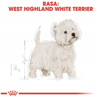 Sucha karma Royal Canin West Highland White Terrier Adult dla dorosłych i starzejących się psów 500 g (3182550751292) - obraz 6