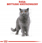 Сухий корм Royal Canin British Shorthair Adult для дорослих котів британської короткошерстої породи 400 г (3182550756402) - зображення 6