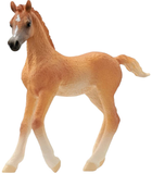 Фігурка Schleich Horse Club Арабське лошатко 8 см (4059433753690) - зображення 1