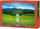 Puzzle Castorland Rice Fields in Vietnam 1000 elementów (5904438105052) - obraz 1