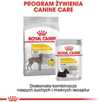 Sucha karma Royal Canin Maxi Dermacomfort dla psów dużych ras z podrażnieniami skóry powyżej 15 miesiąca życia 3 kg (3182550773850) - obraz 4