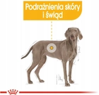 Sucha karma Royal Canin Maxi Dermacomfort dla psów dużych ras z podrażnieniami skóry powyżej 15 miesiąca życia 3 kg (3182550773850) - obraz 8