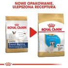 Sucha karma Royal Canin French Bulldog Puppy dla szczeniąt rasy buldog francuski 10 kg (3182550777674) - obraz 2