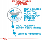 Sucha karma Royal Canin Giant dla szczeniąt olbrzymich ras w okresie odsadzania do 2 miesiąca życia 1 kg (3182550778817) - obraz 6