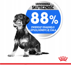 Sucha karma Royal Canin Mini Light Weight Care dla psów z nadwagą 3 kg (3182550894104) - obraz 7