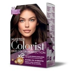 Краска Master Colorist для воло