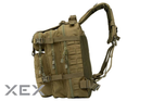 Рюкзак тактичний 2Е, 25L, Molle, зелений (2E-MILTACBKP-25L-OG) - зображення 9