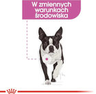 Сухий корм Royal Canin Mini Relax Care для дорослих собак дрібних порід Релаксуючий 3 кг (3182550895125) - зображення 6