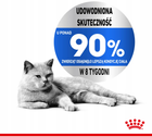 Sucha karma Royal Canin Light Weight Care dla dorosłych kotów z nadwagą 3 kg (3182550903929) - obraz 6