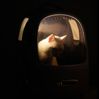 Plecak podróżny dla zwierząt Petkit Breezy 2 Smart Cat Carrier Desert Camo (Breezy 2-DC) - obraz 7