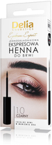 Henna do brwi Delia Eyebrow Expert jednoskładnikowa ekspresowa 1.0 Czarny 6 ml (5901350469729) - obraz 1