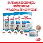 Вологий корм для собак Royal Canin Starter Mousse 12 x 195 г (9003579010532) - зображення 4