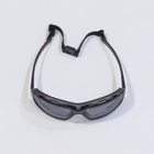 Захисні окуляри Pyramex Highlander Plus (gray) - изображение 8