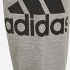 Дитячі спортивні штани для хлопчика Adidas B Bl Ft C Pt GN4016 122 см Сірі (4064036026799) - зображення 4