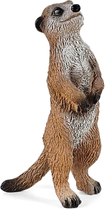 Zestaw figurek do zabawy Schleich Wild Life Meerkat Hill (4059433570624) - obraz 3