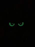 Шеврон на липучке Совиные глаза 8см х 4см койот(12135) - изображение 2