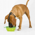 Силіконовий намордник для собак Trixie Muzzle Flex S Чорний (4047974176115) - зображення 4