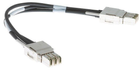 Kabel Cisco Type 1 Stacking Cable 50 cm (STACK-T1-50CM=) - obraz 1