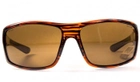 Поляризационные очки защитные 2в1 BluWater BABE WINKELMAN Polarized (brown) коричневые - изображение 2