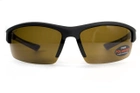 Поляризационные очки BluWater Daytona-1 Polarized (brown) коричневые в черно-синей - изображение 3