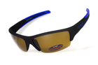 Поляризационные очки BluWater DAYTONA-2 Polarized (brown) коричневые 4ДЕЙТ2-Г50П - изображение 1