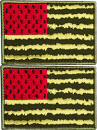 Шеврон нашивка на липучке IDEIA флаг США херсонский Арбузик вышитый патч 5.3 х 7.6 см 2 шт (2200004271125) - изображение 1