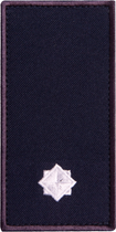 Шеврон нашивка на липучке IDEIA погон звания ГСЧС Младший лейтенант, вышитый патч 5х10 см (2200004303833) - изображение 1