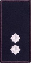 Шеврон нашивка на липучці IDEIA погон звання ДСНС Лейтенант, вишитий патч 5х10 см (2200004303826) - зображення 1