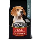 Сухий корм для собак Farmina Cibau Adult Medium з куркою