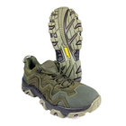Тактичні шкіряні кросівки Oksy Tactical літні з сіткою трекінгові Olive розмір 41 - зображення 3