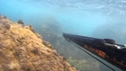 Арбалет Salvimar VOODOO RAIL OPEN 60 см для подводной охоты ружье гарпун - изображение 3