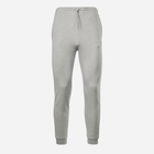 Спортивні штани чоловічі Reebok Identity Smal 100067631 L Сірі (4066751250220) - зображення 1