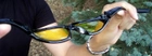 Очки защитные фотохромные Global Vision Hercules-1 Photochromic (yellow) желтые фотохромные - изображение 6