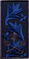 Шеврон нашивка на липучці IDEIA погон звання ЗСУ Бригадного Генерала, вишитий патч 5х10 см (2200004309446) - зображення 1