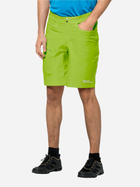 Спортивні шорти чоловічі Jack Wolfskin Tourer Shorts M 1507231-4150 50 Салатові (4064993663648) - зображення 1