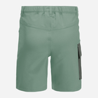 Дитячі шорти для дівчинки Jack Wolfskin Active Shorts K 1609341-4215 128 см Зелені (4064993682533) - зображення 2