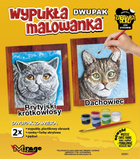 Wypukła malowanka Mirage Hobby Kot brytyjski krótkowłosy + Dachowiec 2 szt (5901461620613) - obraz 1