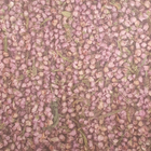 Вереск обыкновенный трава сушеная 100 г - изображение 1