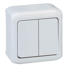 Выключатель 2 клавишный Legrand Forix IP44 10A 782382 серий